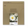 Epson Daisy multipack 4 cores 18XL EasyMail, alta (XL) autonomia, preto, ciano, magenta, amarelo, 11,5 ml, 6,6 ml, 1 unid., multipack