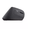 Trust TM-270 Rato de escritório, destro, RF sem fios, ótico, 2400 DPI