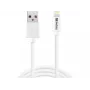 Sandberg USB-A para Lightning MFI 1M, 1 m, Lightning, USB A, branco, reto, reto