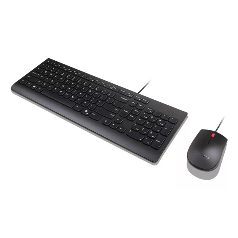 Lenovo Essential Wired Combo preto US Euro teclado rato incluído universal USB