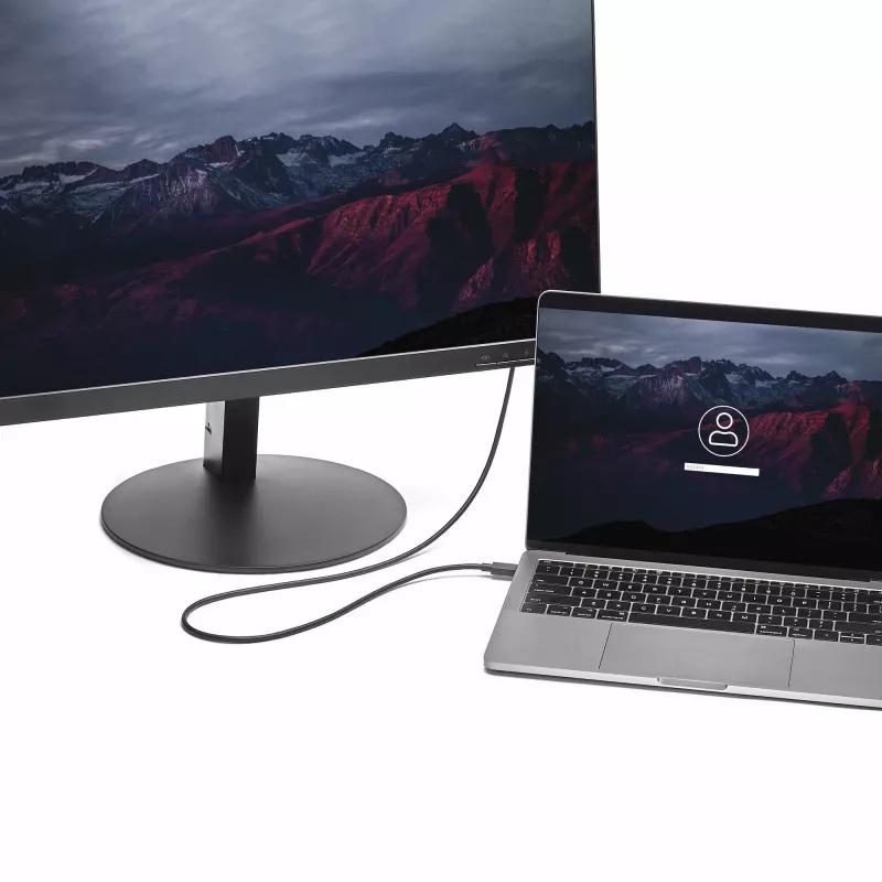 Cabo StarTech.com 1,8 m USB-C para DisplayPort 1.2 4K 60 Hz – cabo adaptador USB-C para DisplayPort HBR2 – cabo de vídeo USB Type-C DP Alt Mode para monitor DP – funciona com Thunderbolt 3 – preto