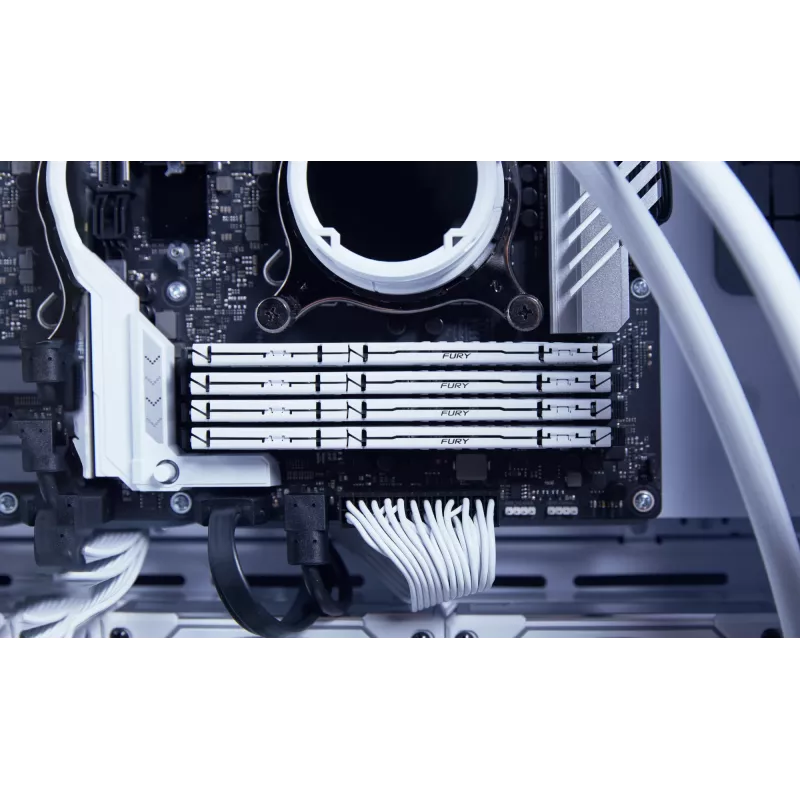 Kingston Technology FURY Beast 32GB 6000MT/s DDR5 CL30 DIMM branco EXPO