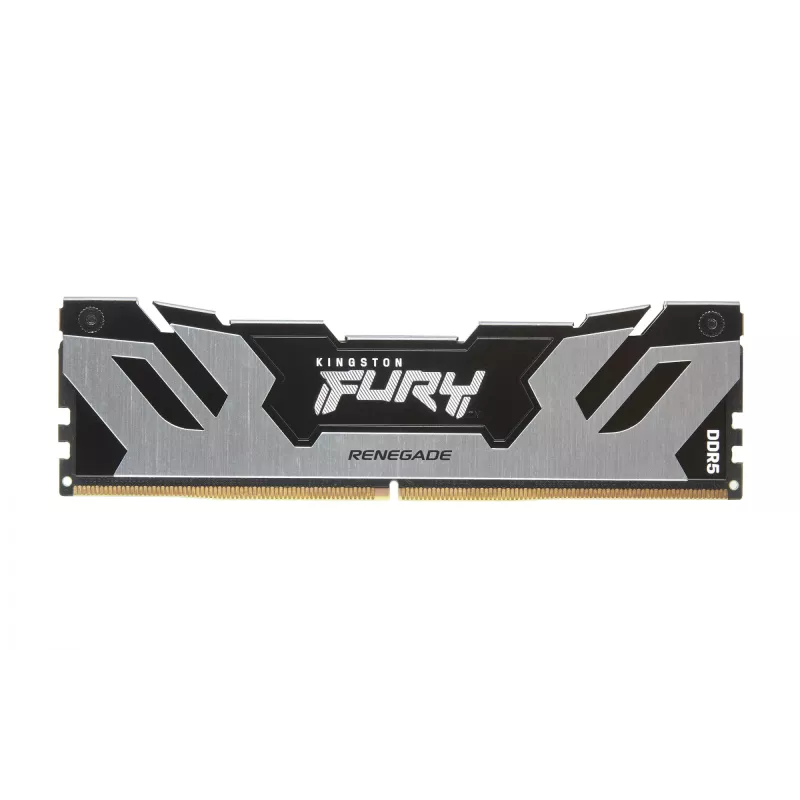 Kingston Technology FURY 16GB 6400MT/s DDR5 CL32 DIMM Renegade prateado