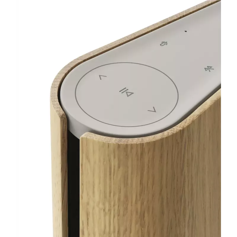 Altifalante portátil Bang & Olufsen Beosound Emerge castanho