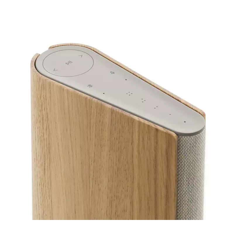 Altifalante portátil Bang & Olufsen Beosound Emerge castanho