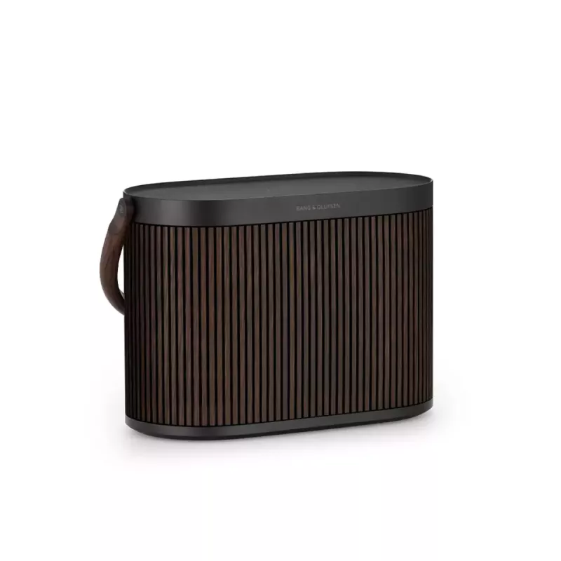 Sistema de altifalantes portátil 2.1 Bang & Olufsen BeoSound A5 castanho 101 dB