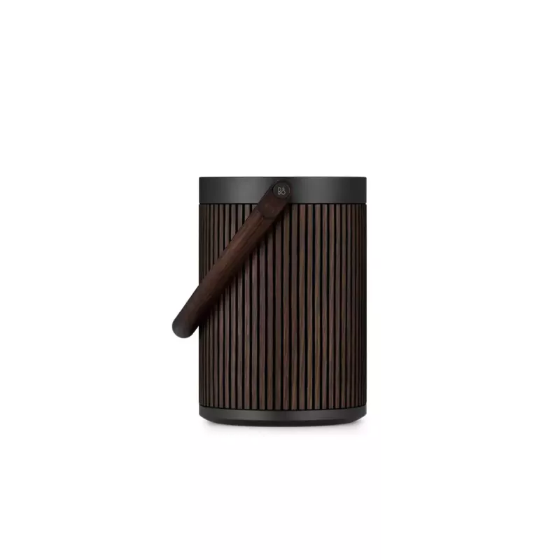 Sistema de altifalantes portátil 2.1 Bang & Olufsen BeoSound A5 castanho 101 dB