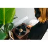 Gira-discos de áudio com transmissão por correia Lenco LS-430BN Castanho Manual 3-4 g de força de apoio
