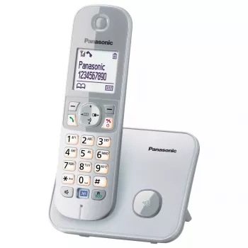 Telefone DECT Panasonic KX-TG6811GS