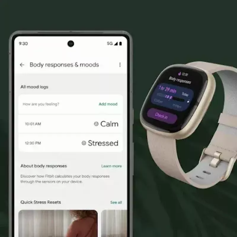 Smartwatch Fitbit Sense 2 ecrã tátil digital preto