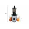 Extrator de sumo lento Unold 78275 SLOW JUICER Sam 300 W carvão