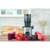 Extrator de sumo lento Unold 78275 SLOW JUICER Sam 300 W carvão