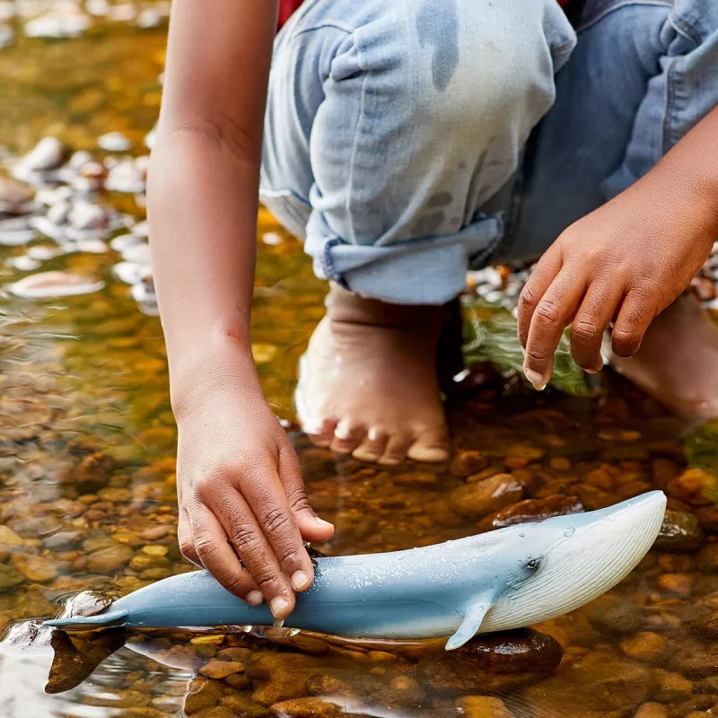 Figura Schleich WILD LIFE Baleia Azul