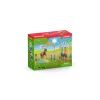 Treino de Agilidade para Pónei Schleich 42481 Multicolor Plástico 3-8 anos