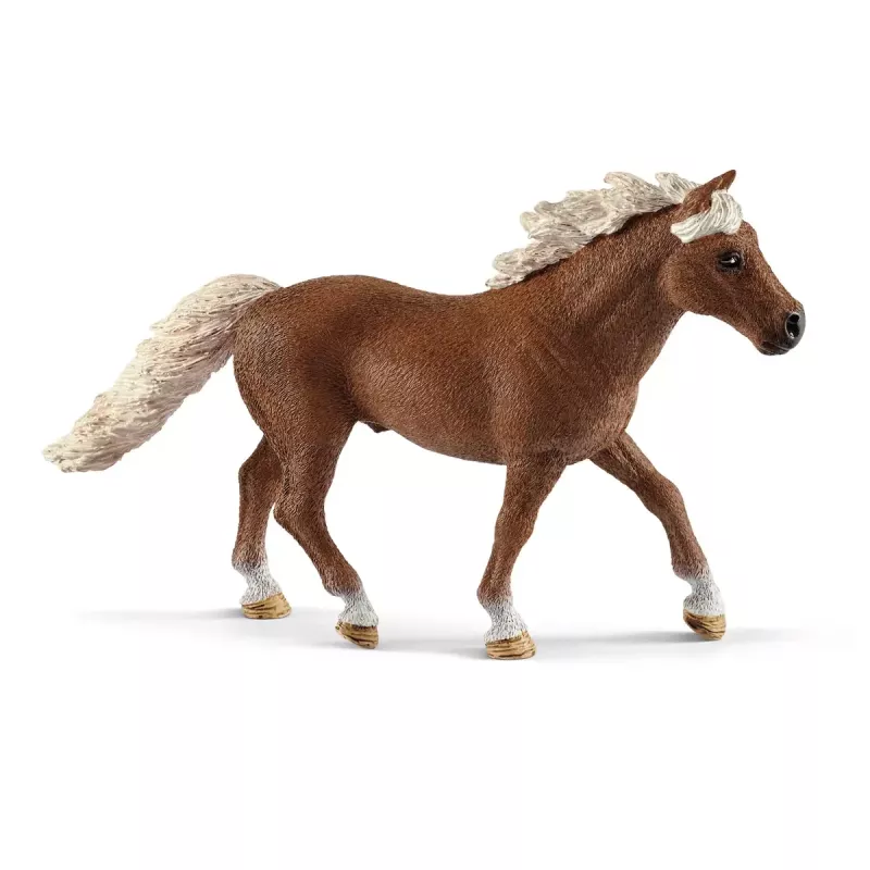 Treino de Agilidade para Pónei Schleich 42481 Multicolor Plástico 3-8 anos