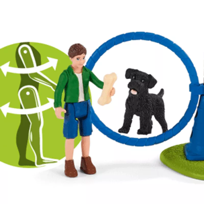 schleich Farm Life Treino de Agilidade para Cachorros, Farm World, 3 ano(s), Multicolor
