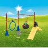 schleich Farm Life Treino de Agilidade para Cachorros, Farm World, 3 ano(s), Multicolor