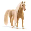schleich HORSE CLUB Sofias Beauties Posto de Tratamento de Cavalos, Cerda de Escova, Cavalos, 3 ano(s), Multicolor