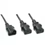 Cabo divisor IEC Lindy 1m IEC C14 para 2 x IEC C13