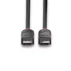 Cabo DisplayPort 1.2 Lindy 0,5m, Black Line