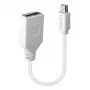 Cabo adaptador Lindy 0,20 m Mini DisplayPort para DisplayPort, 0,15 m, Mini DisplayPort, DisplayPort, macho, fêmea, Branco