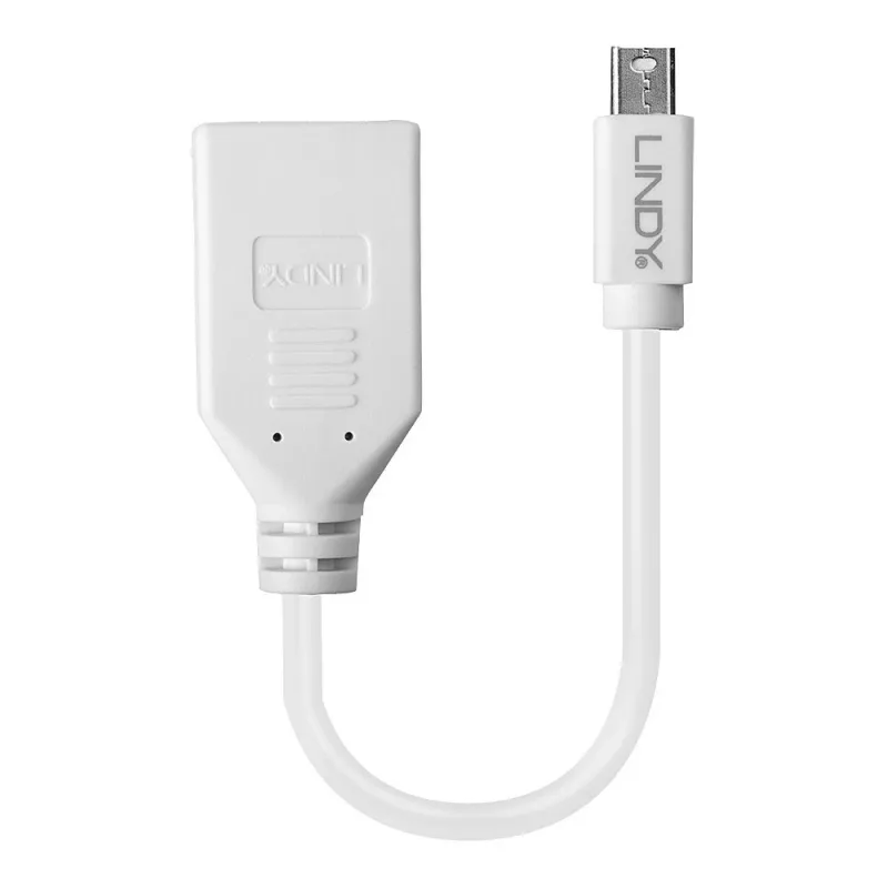 Cabo adaptador Lindy 0,20 m Mini DisplayPort para DisplayPort, 0,15 m, Mini DisplayPort, DisplayPort, macho, fêmea, Branco