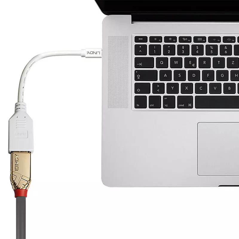Cabo adaptador Lindy 0,20 m Mini DisplayPort para DisplayPort, 0,15 m, Mini DisplayPort, DisplayPort, macho, fêmea, Branco
