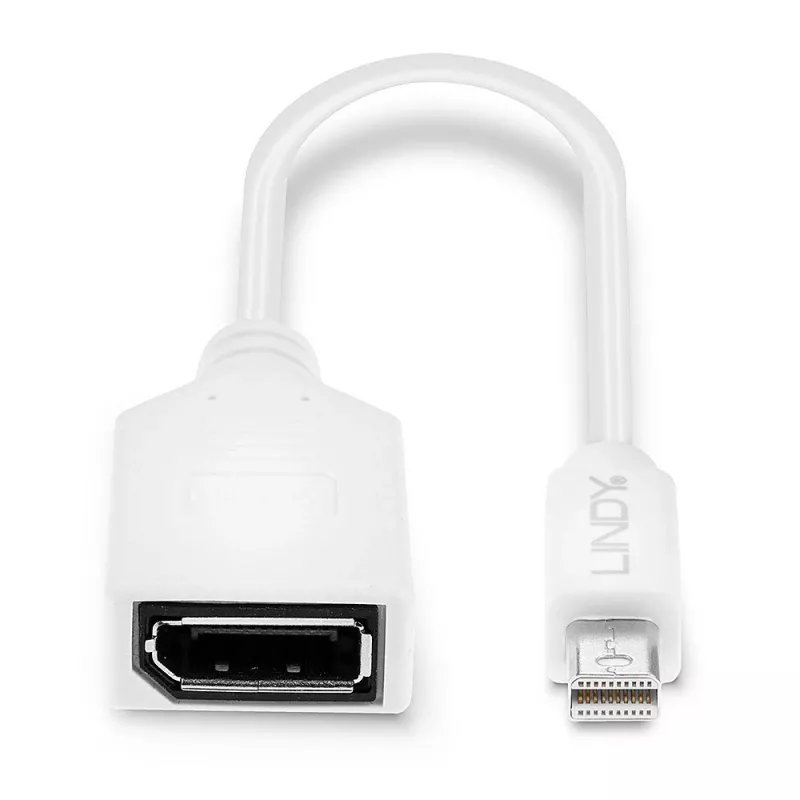 Cabo adaptador Lindy 0,20 m Mini DisplayPort para DisplayPort, 0,15 m, Mini DisplayPort, DisplayPort, macho, fêmea, Branco