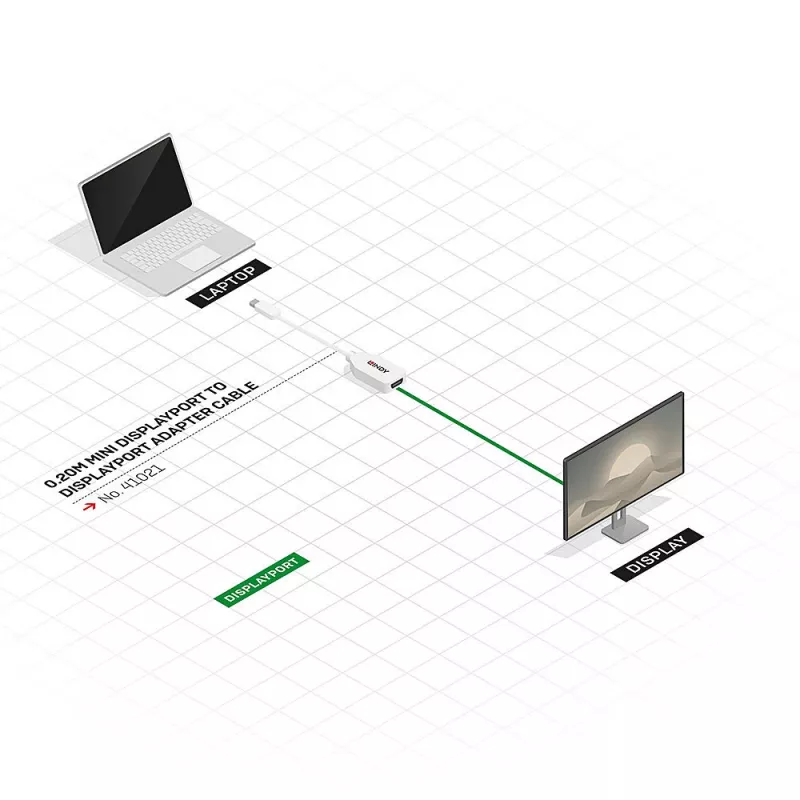 Cabo adaptador Lindy 0,20 m Mini DisplayPort para DisplayPort, 0,15 m, Mini DisplayPort, DisplayPort, macho, fêmea, Branco