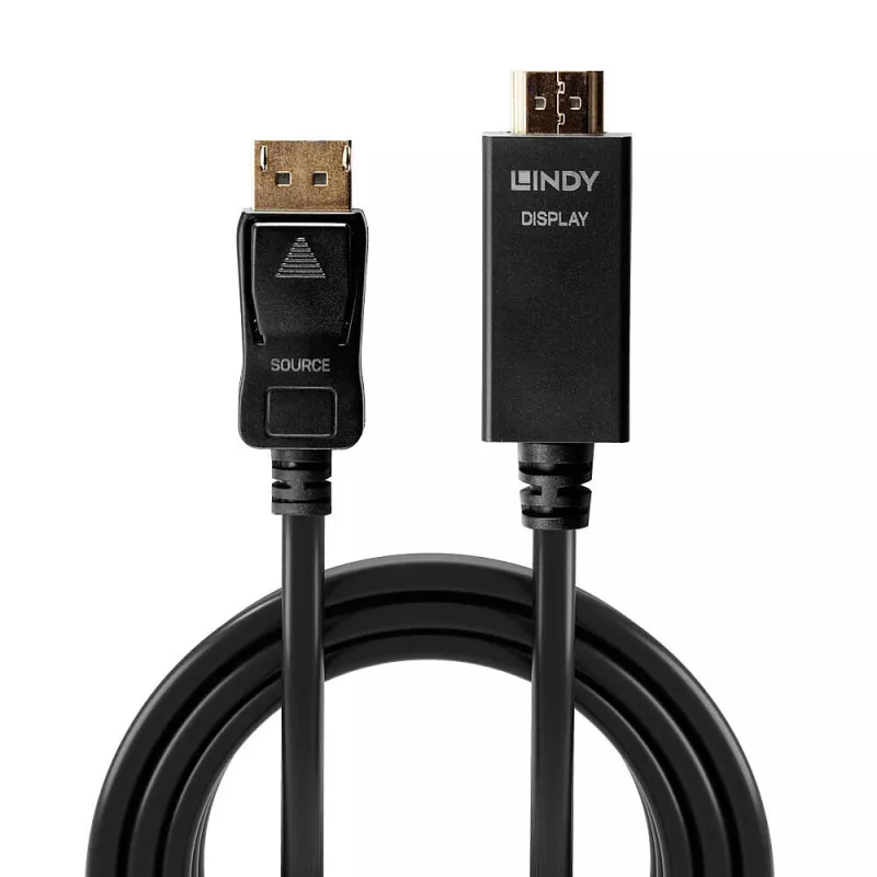 Cabo Lindy 1m DisplayPort para HDMI 10.2G