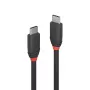 Cabo Lindy 1 m USB 3.2 tipo C para C, 20 Gbit/s, Black Line