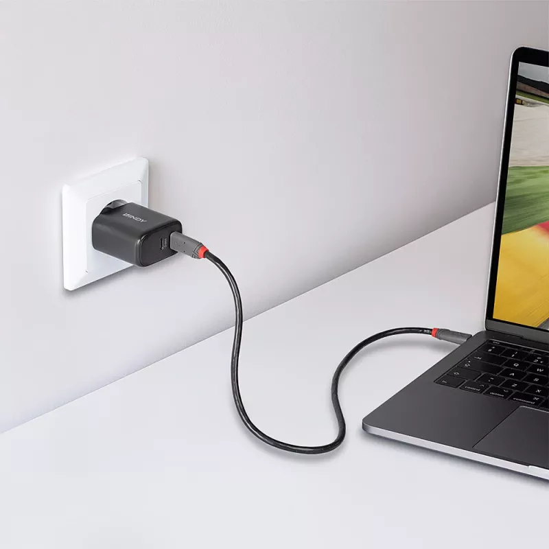 Carregador Lindy 65W USB 2 x Type-C GaN 73438