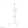 Kit Neomounts AFLS-825WH1 para videobar e multimédia - universal