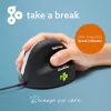 Rato ergonómico R-Go Tools R-Go HE Break com software Break, médio (tamanho de mão 165-185 mm), destro, com fios, preto