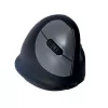 Rato ergonómico R-Go Tools R-Go HE Break com software de pausas, grande (tamanho de mão ≥ 185 mm), para destros, Bluetooth, preto