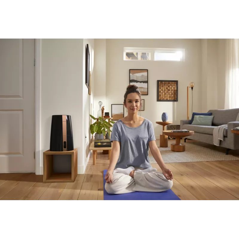 Philips série 3000 HU3918/10 humidificador de impelidor 3 L Preto 25 W