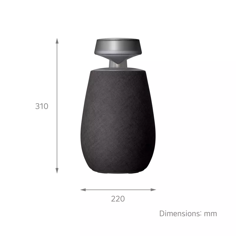 Altifalante portátil LG XBOOM 360 mono preto 20 W