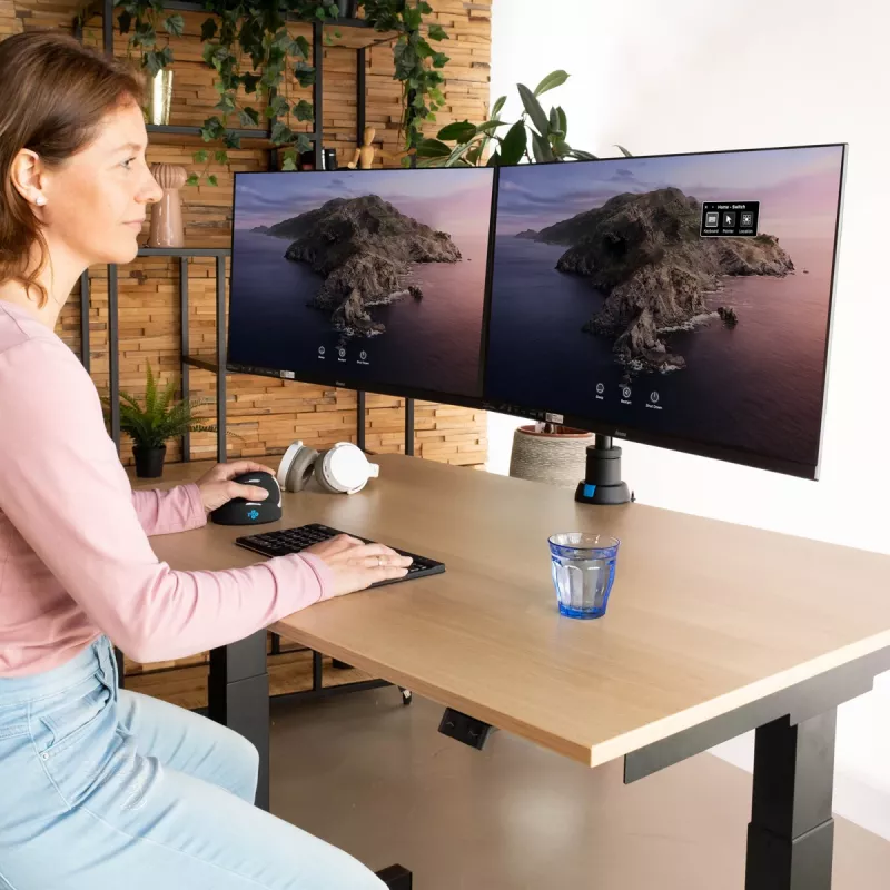 Suporte para monitor R-Go Tools R-Go Caparo Dual, para dois monitores, altura ajustável com mola a gás, capacidade de carga 3-9 kg, 100% circular, preto