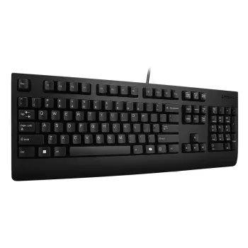 Teclado Lenovo 4Y41R64611 Home/Office USB finlandês, sueco preto