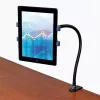 Suporte de tablet com braço flexível StarTech.com – braço flexível para tablet, tablet/UMPC, suporte ativo, interior, Preto