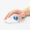 Rato Logitech ERGO M575 Wireless Trackball RF Wireless + Bluetooth