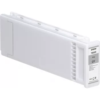 Epson Pacote Individual Cinzento T800900 UltraChrome PRO 700 ml
