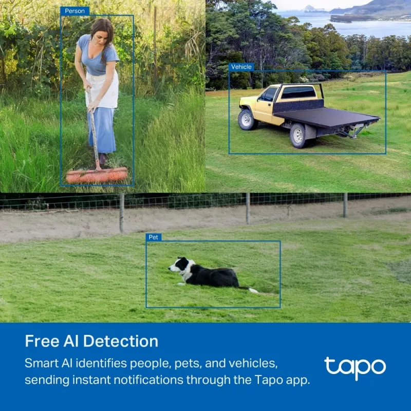 Câmara de vigilância IP TP-Link TAPO C501GW 1920 x 1080 píxeis
