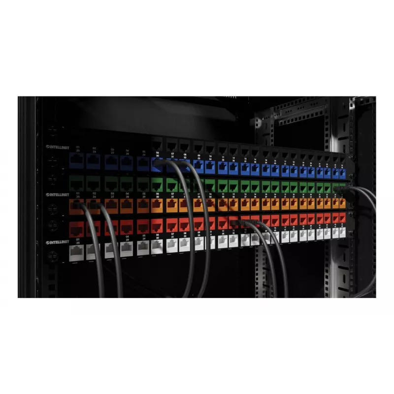 Módulo keystone Intellinet 791298
