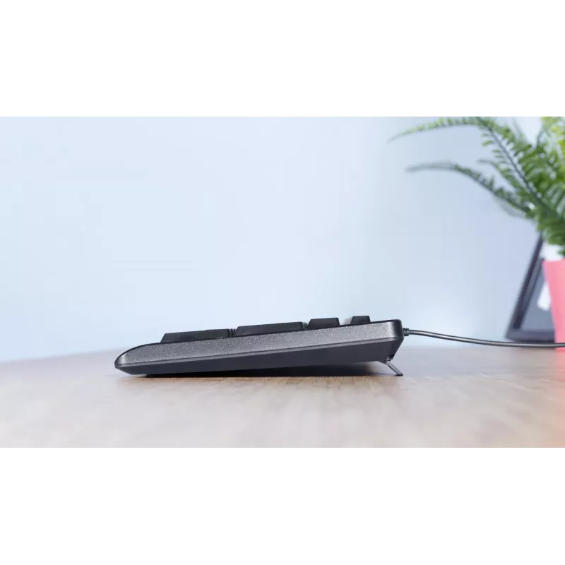 Teclado Trust TK-150 escritório USB QWERTZ alemão preto
