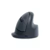 Rato vertical R-Go Tools R-Go HE Basic, rato ergonómico, tamanho médio (tamanho da mão ≥ 185 mm), para destro, Bluetooth, cinzento