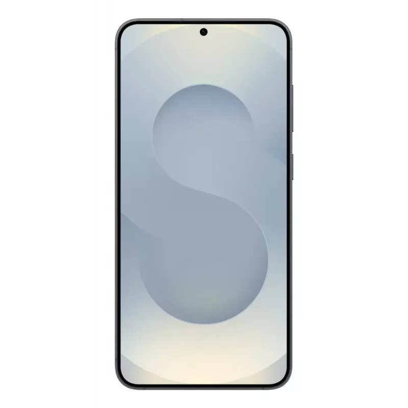 Samsung Galaxy S25+ SM-S936B/DS 17 cm (6.7
