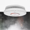 Nedis DTCTCS10WT Detetor combinado de fumo e monóxido de carbono, branco