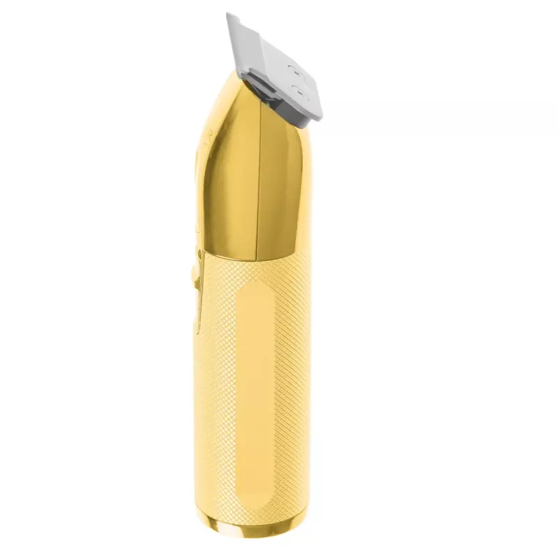 Aparador de barba Adler AD 2836G pilha 0,9 6 mm dourado