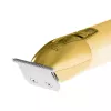 Aparador de barba Adler AD 2836G pilha 0,9 6 mm dourado